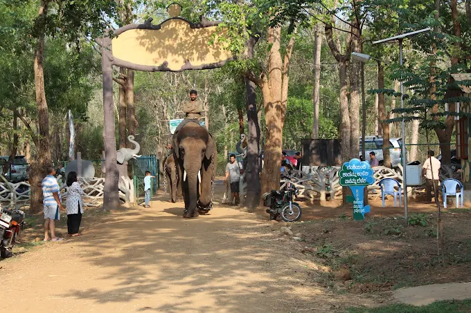 Sakrebyle Elephant Camp – Jungle Lodges and Resorts